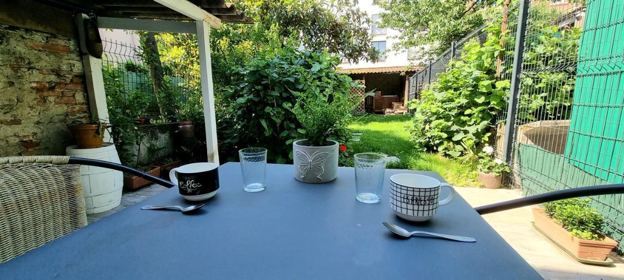 Studio Simone - Terrasse Et Jardin - Tv - Wifi Toulouse Eksteriør billede