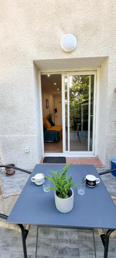 Studio Simone - Terrasse Et Jardin - Tv - Wifi Toulouse Eksteriør billede