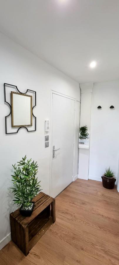 Studio Simone - Terrasse Et Jardin - Tv - Wifi Toulouse Eksteriør billede