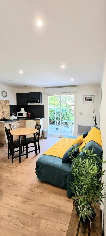 Studio Simone - Terrasse Et Jardin - Tv - Wifi Toulouse Eksteriør billede