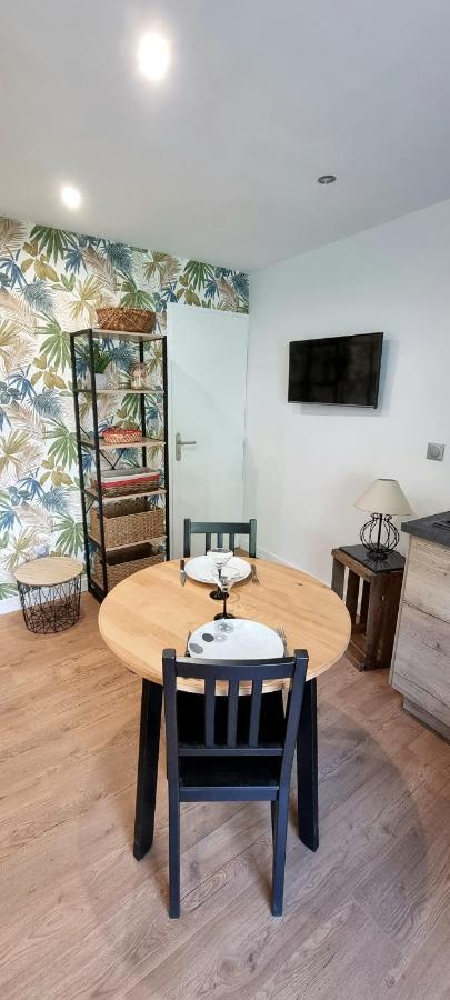 Studio Simone - Terrasse Et Jardin - Tv - Wifi Toulouse Eksteriør billede