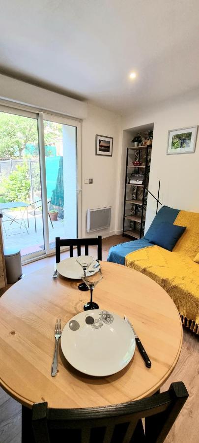 Studio Simone - Terrasse Et Jardin - Tv - Wifi Toulouse Eksteriør billede