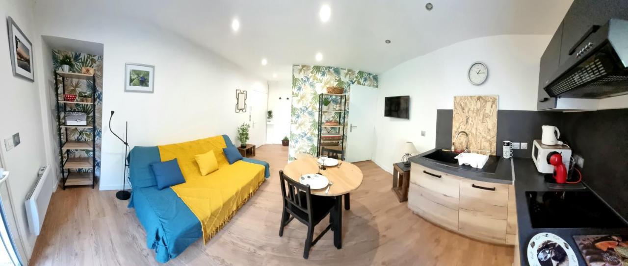 Studio Simone - Terrasse Et Jardin - Tv - Wifi Toulouse Eksteriør billede